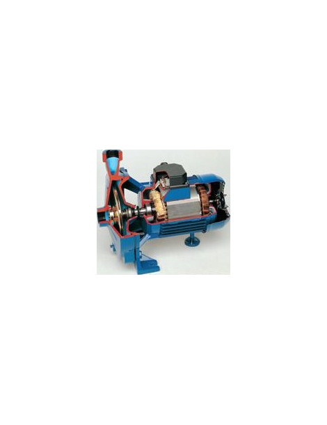 Pompa Centrifuga C35 1,1KW Trifase monogirante Speroni
