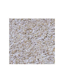 Sabbia al quarzo 25 kg granulometria 0,4 / 0,8 per filtro sabbia