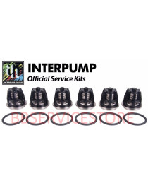 Kit 43 Interpump