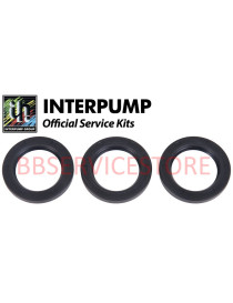 Kit 44 Interpump