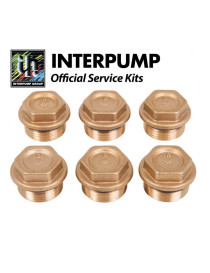 Kit 84 Interpump