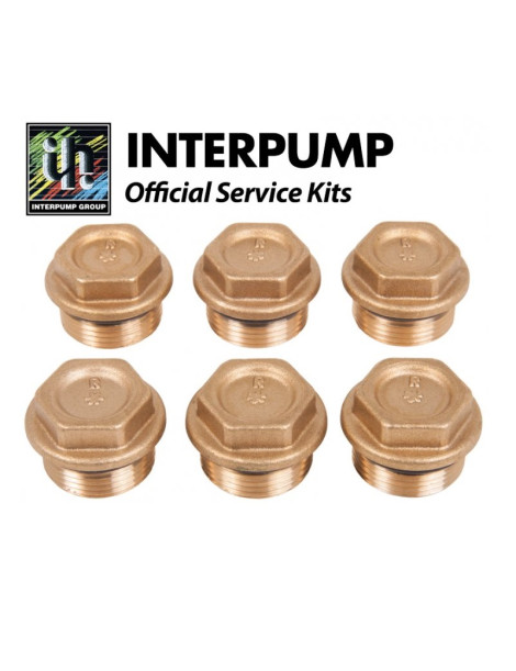 Kit 84 Interpump