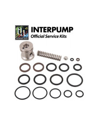 Kit 99 Interpump