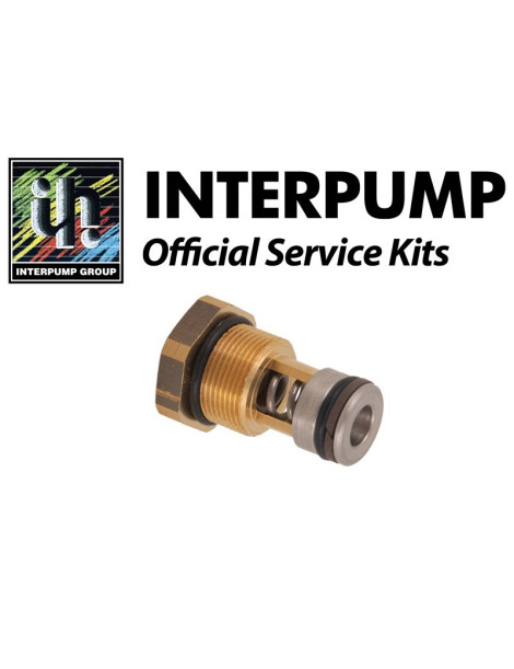 Kit 116 Interpump