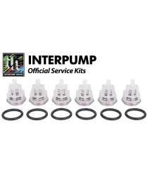 Kit 123 Interpump