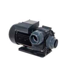 Pompa ADRIA MINI 1,5 CV Idromassaggio e nuoto controcorrente 230 volt Monofase