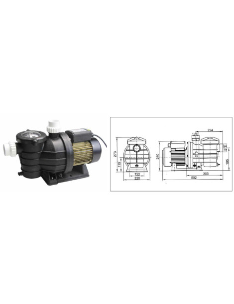 Elettropompa centrifuga autoadescante Powertech SMP - 1,50 hp Trifase