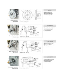 Motore con albero cilindrico G390FD Benzina a scoppio Loncin
