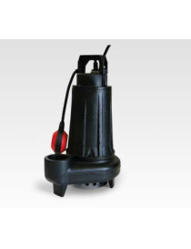 BIC 50-2/110 Trifase con galleggiante