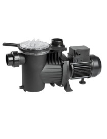 Pompa piscina adatta per acqua salata autoadescante 2 HP Trifase