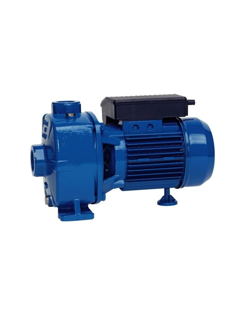 POMPA CENTRIFUGA BIGIRANTE NBM 300 2,2KW