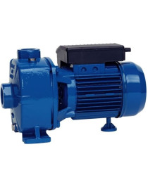 POMPA NBM 200 1,5KW CENTRIFUGA BIGIRANTE