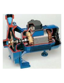 Pompa Centrifuga CM32 0,75KW Monofase monogirante Speroni