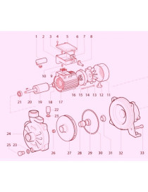 Pompa Centrifuga C45 1,5KW Trifase mongirante Speroni