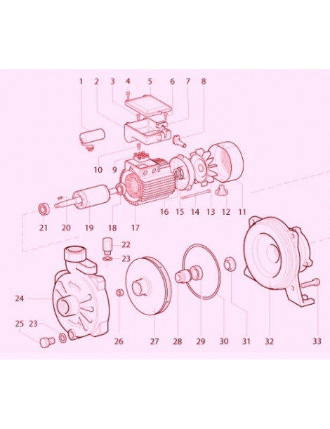 Pompa Centrifuga C45 1,5KW Trifase mongirante Speroni