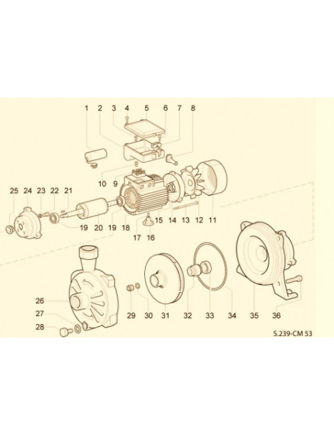 Pompa Centrifuga C53 2,2KW Trifase monogirante Speroni