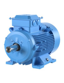 M2BAX160MLB4 15kW 4 POLI B5...