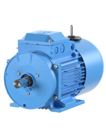 M3AA132SB2 5.5kW 2 POLI B3...