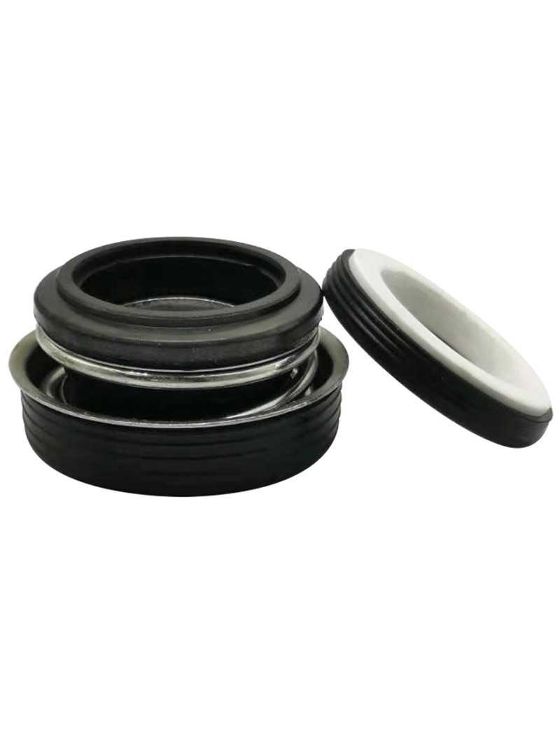 TENUTA MECCANICA POMPA SWIMM