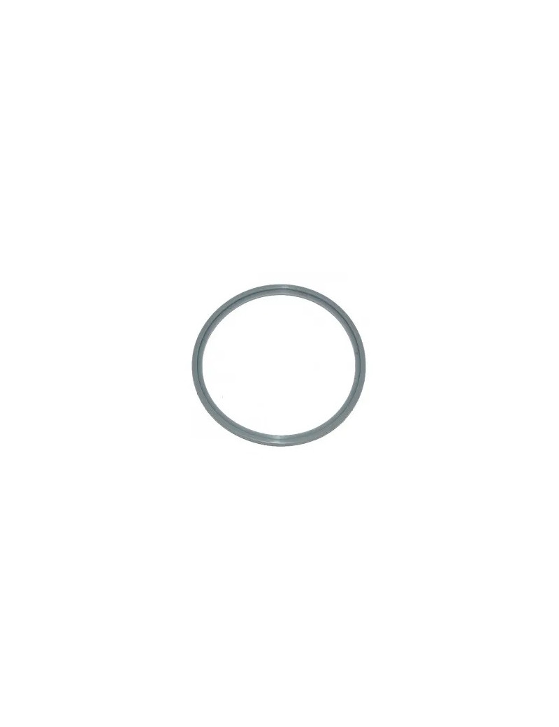 O-RING PER CELLA 99,6x88,5x3,5mm AUTOCHLOR RP