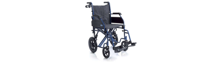 Mobilita e disabilita